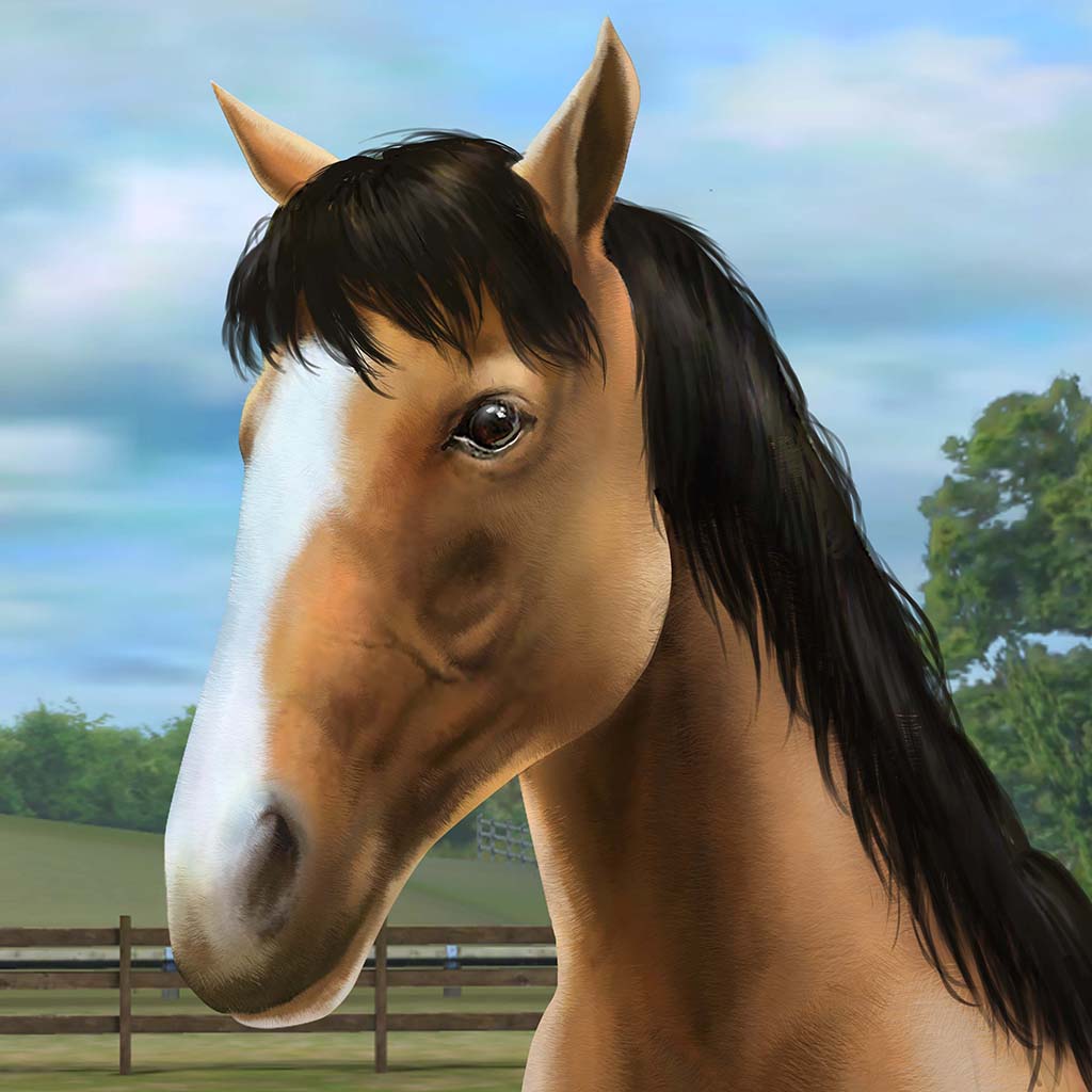 my horse spiele kostenlos my horse spiele kostenlos